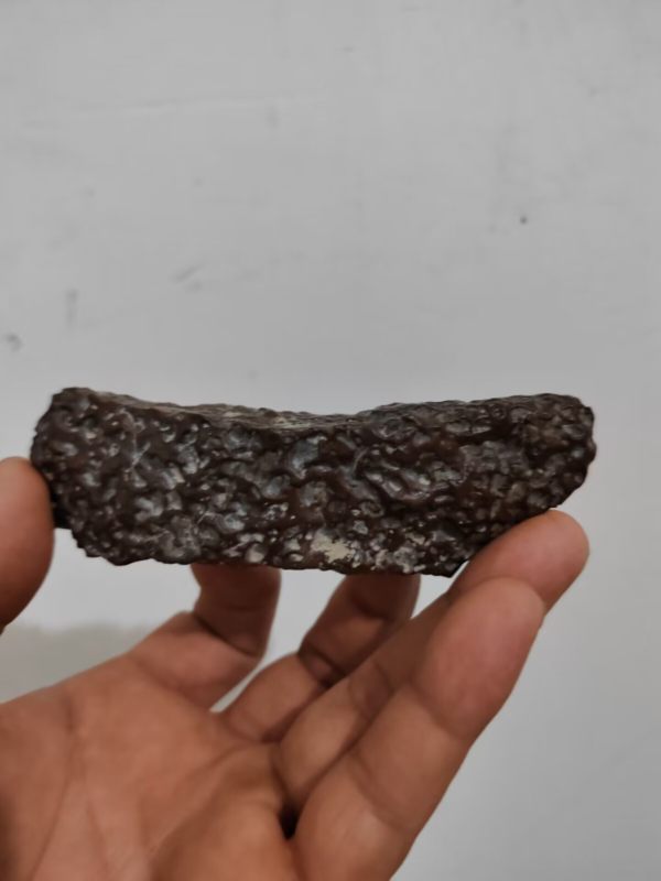 A216 Lunar meteorites are meteorites from the universe 134.1g