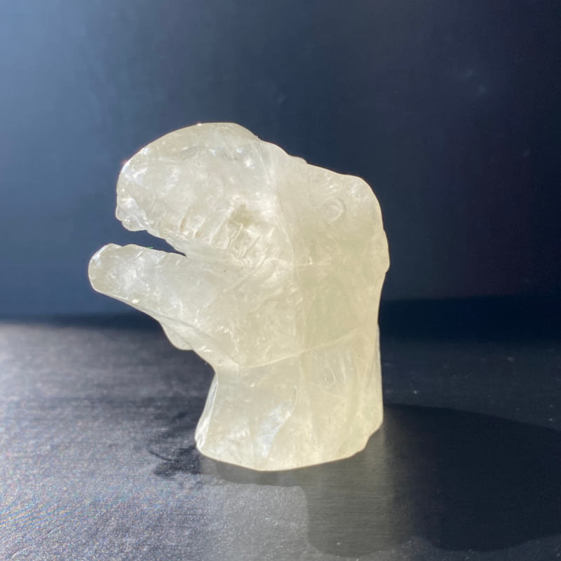 102Gram Natural Citrine Quartz Hand Carved Crystal Dinosaur Skull Healing