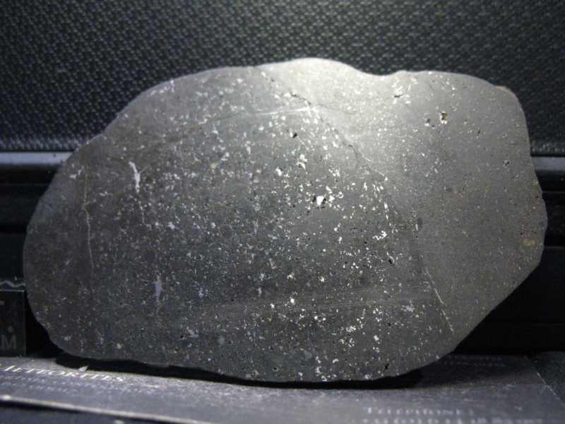 Meteorite NWA 10075 - Vacuolar black L5 - Full slice with Melt