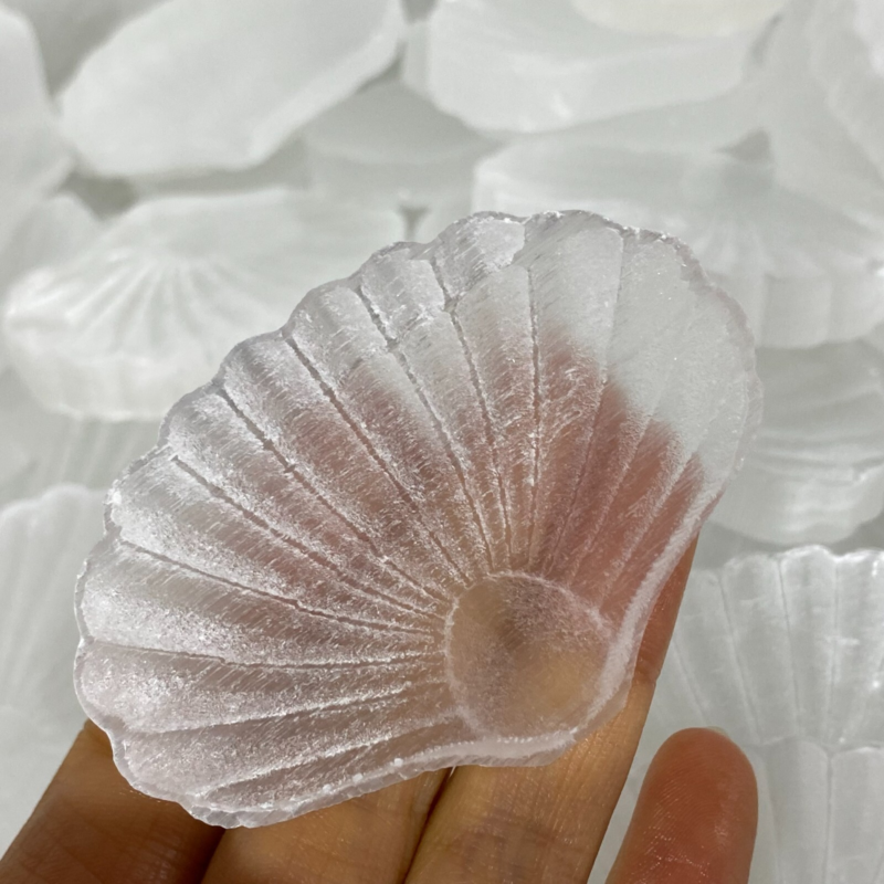 Natural Gypsum Selenite shell  Hand Carved Quartz Crystal Reiki healing 1PC