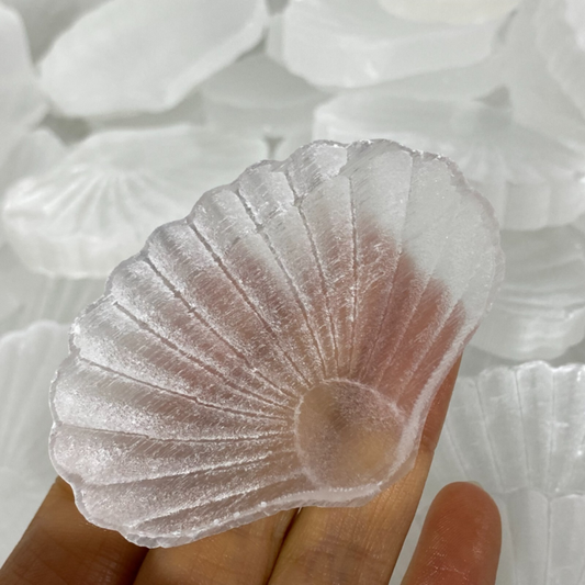 Natural Gypsum Selenite shell  Hand Carved Quartz Crystal Reiki healing 1PC