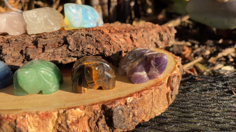 Tortoise Hand Carved Gemstone Figurine | Crystal Turtle | Crystal Healing Animal