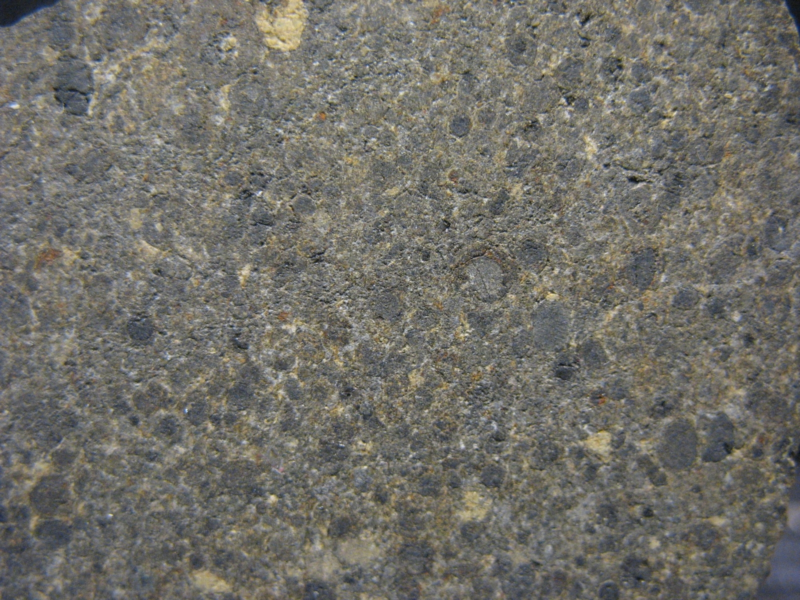 Meteorite NWA 16388 (CC) - Recrystallized Coarse Matrix - CK6 - MAIN MASS