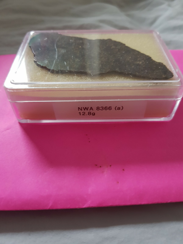 NWA 8366 (a) Full Slice Meteorite