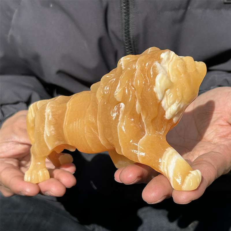 0.56kg Natural yellow calcite lion skull carved Quartz Crystal skull Healing