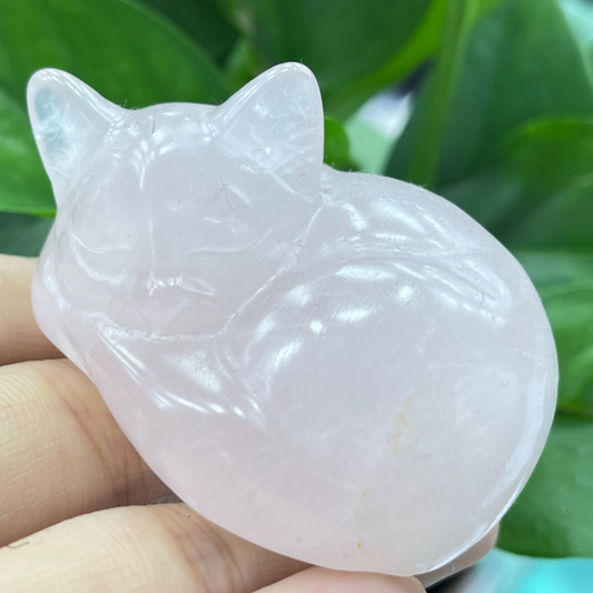 1pc Natural pink rose quartz Sleep cat carved quartz crystal animal skull 2"