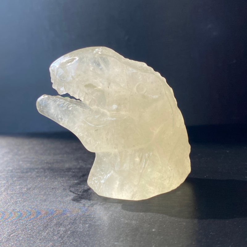 102Gram Natural Citrine Quartz Hand Carved Crystal Dinosaur Skull Healing