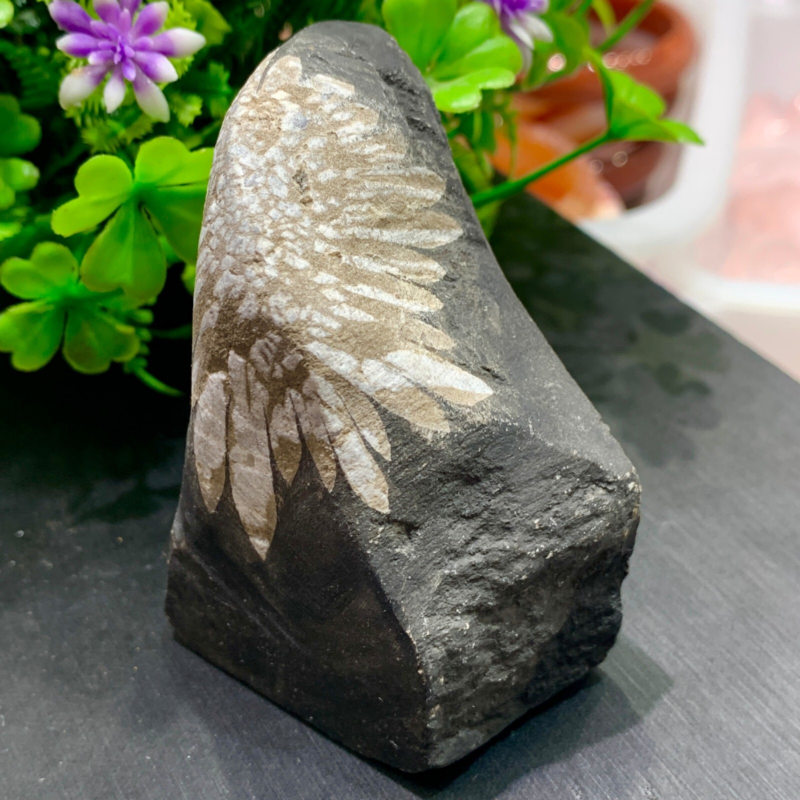 240g Natural Gems Chrysanthemum Crystal Palm Stone Materials Energy Specimen