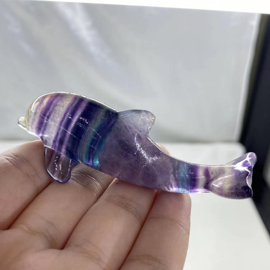 1PC Natural Fluorite Quartz Carved Crystal dolphin Skull Healing Reiki Gem Gift