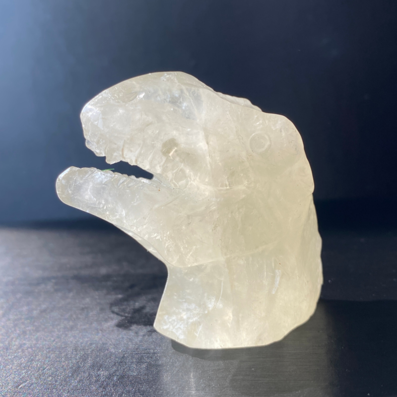 102Gram Natural Citrine Quartz Hand Carved Crystal Dinosaur Skull Healing