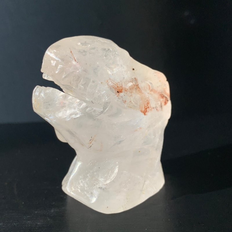 1Natural Transparent Quartz Quartz Hand Carved Crystal Dinosaur Skull Healing