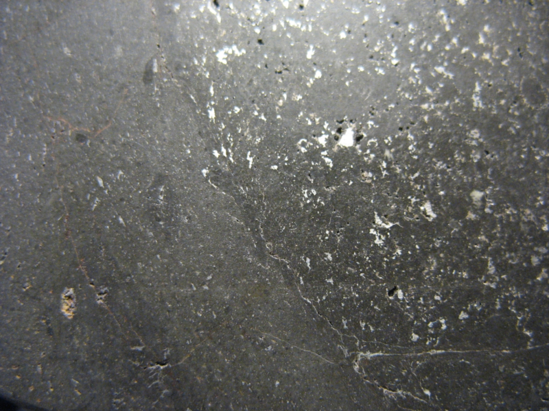 Meteorite NWA 10075 - Vacuolar black L5 - Full slice with Melt