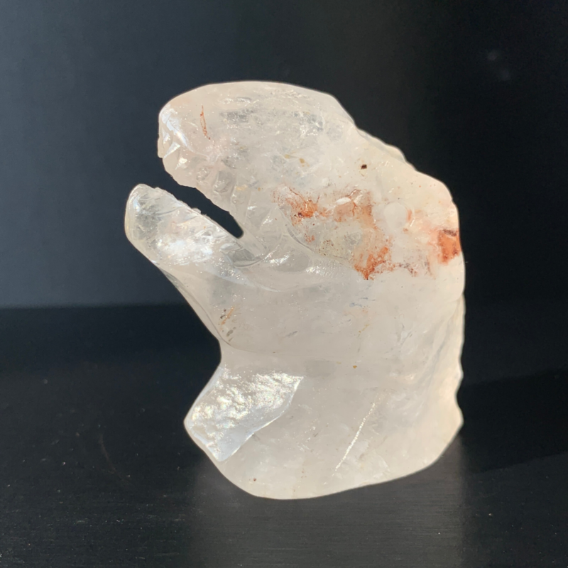 1Natural Transparent Quartz Quartz Hand Carved Crystal Dinosaur Skull Healing