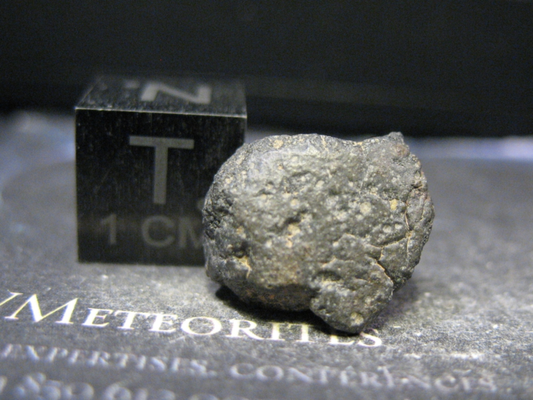 Meteorite NWA 16476 - Carbonaceous : C2-Ungrouped