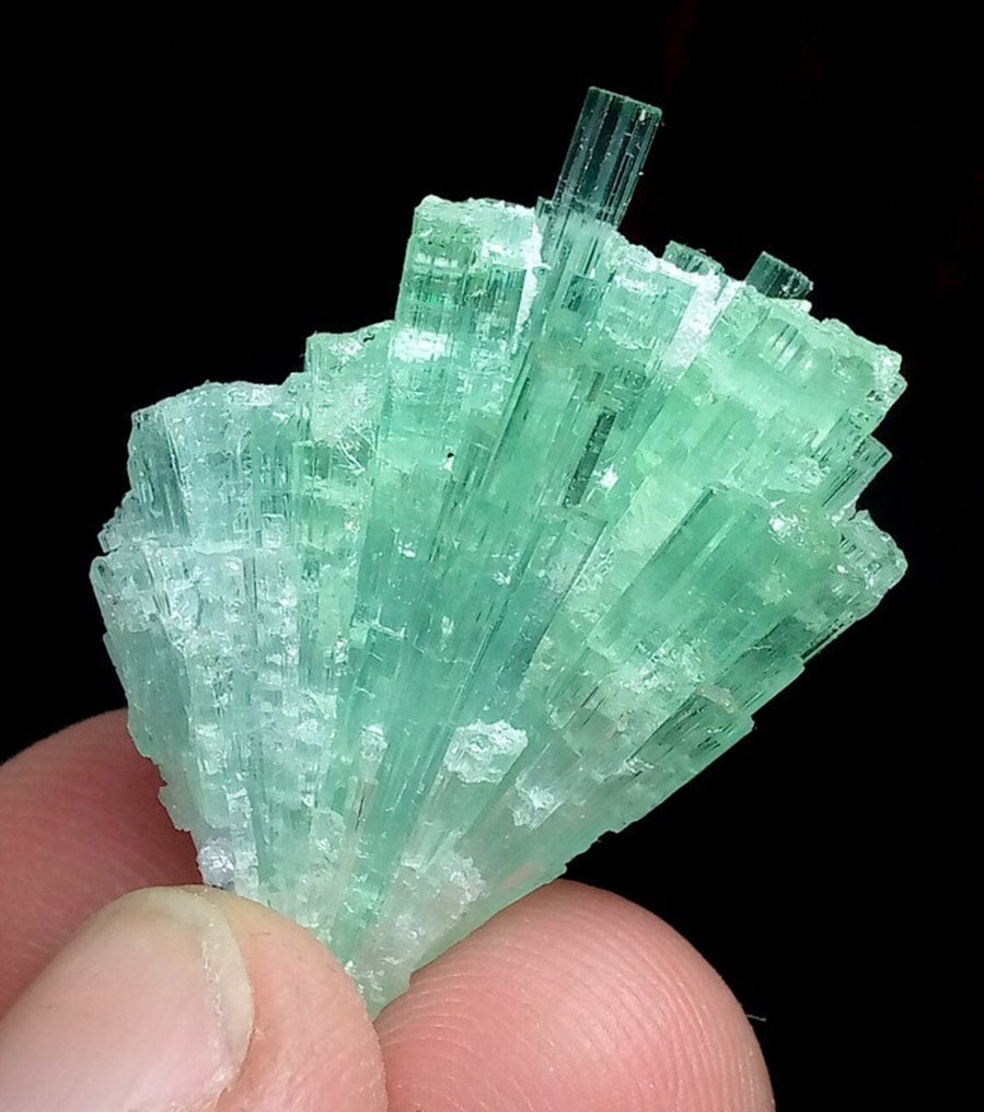 Tourmaline Specimen - Height: 25 mm - Width: 11 mm- 7 g - (1)