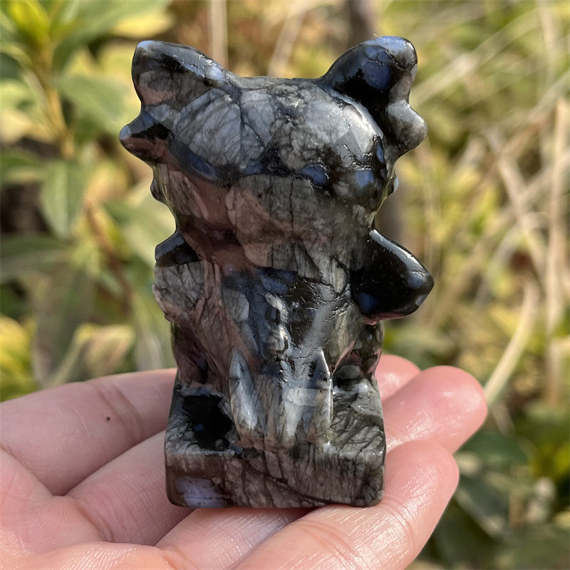 1pc Natural amphibole toothless dragon carved Quartz Crystal skull Reiki healing
