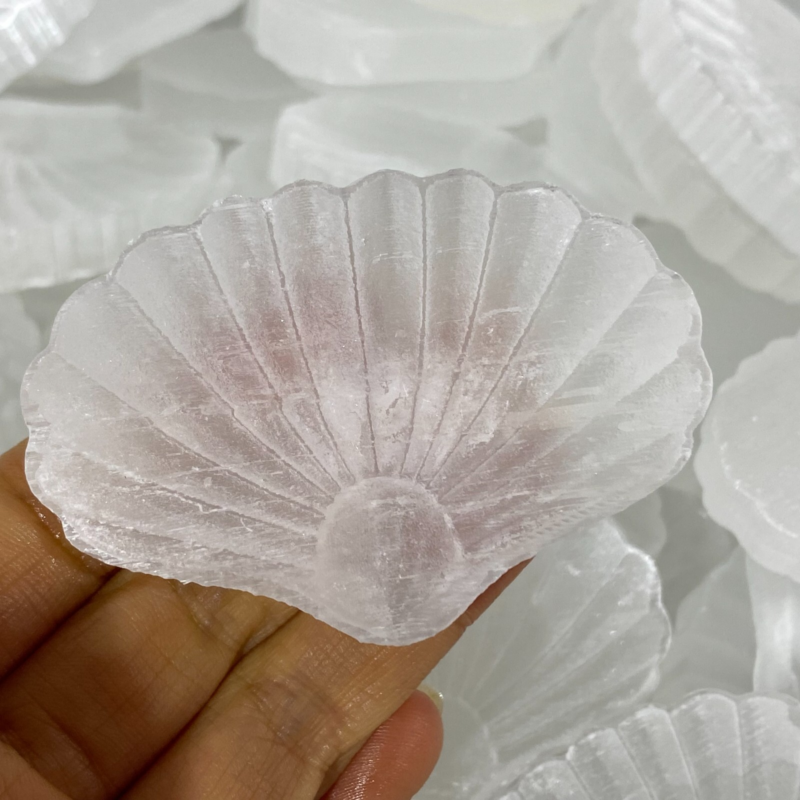 Natural Gypsum Selenite shell  Hand Carved Quartz Crystal Reiki healing 1PC