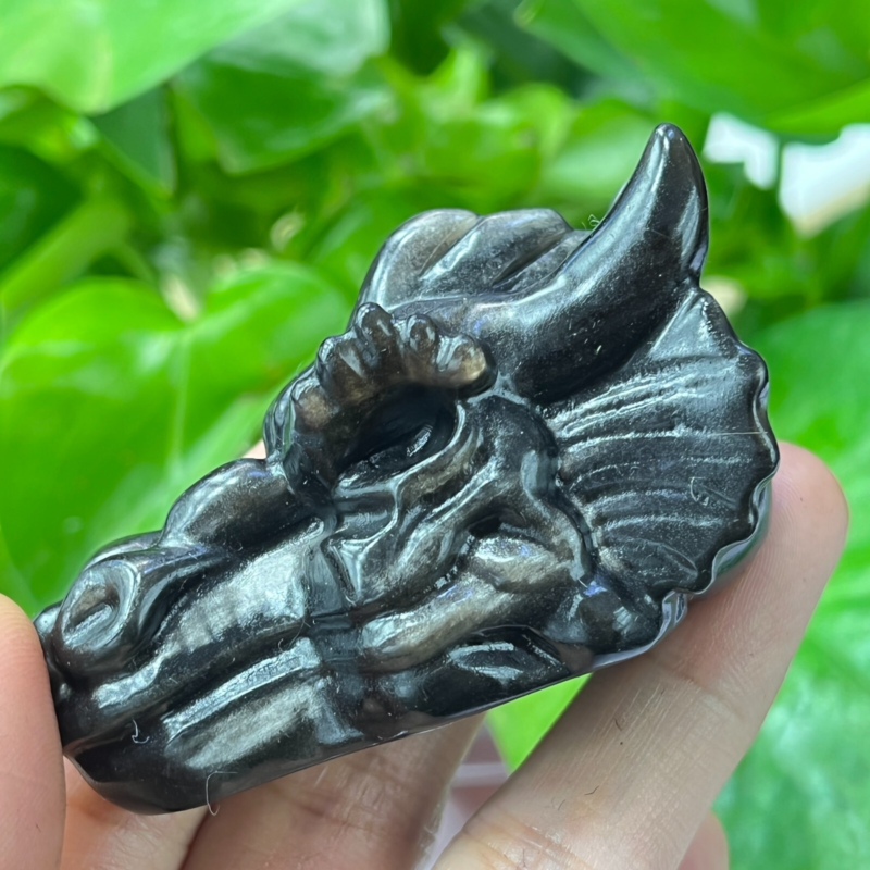 1pc Natural Silver obsidian Dragon hand Carved quartz crystal animal skull 2"+