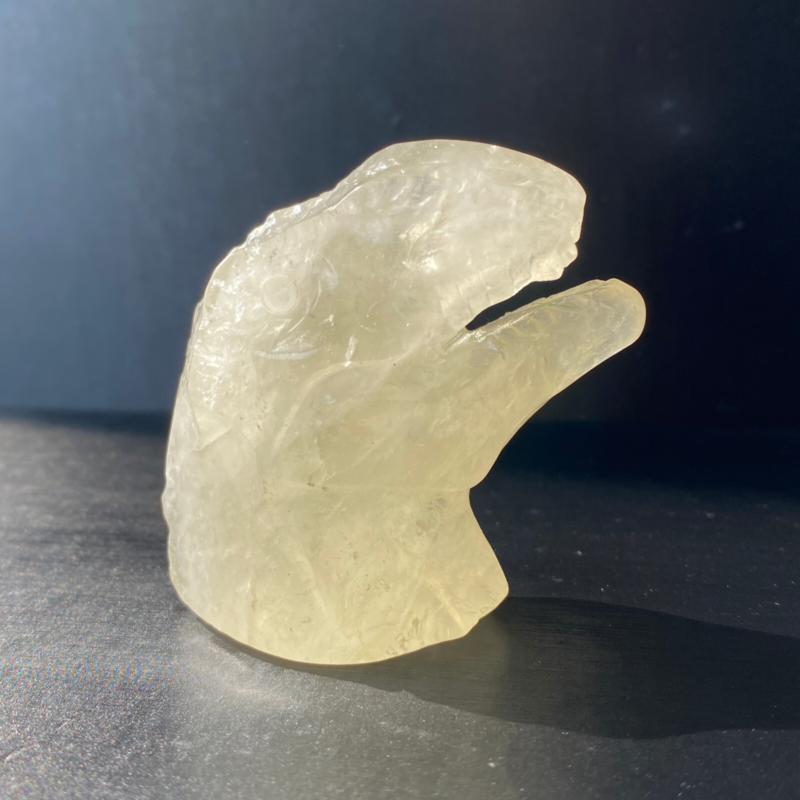 102Gram Natural Citrine Quartz Hand Carved Crystal Dinosaur Skull Healing