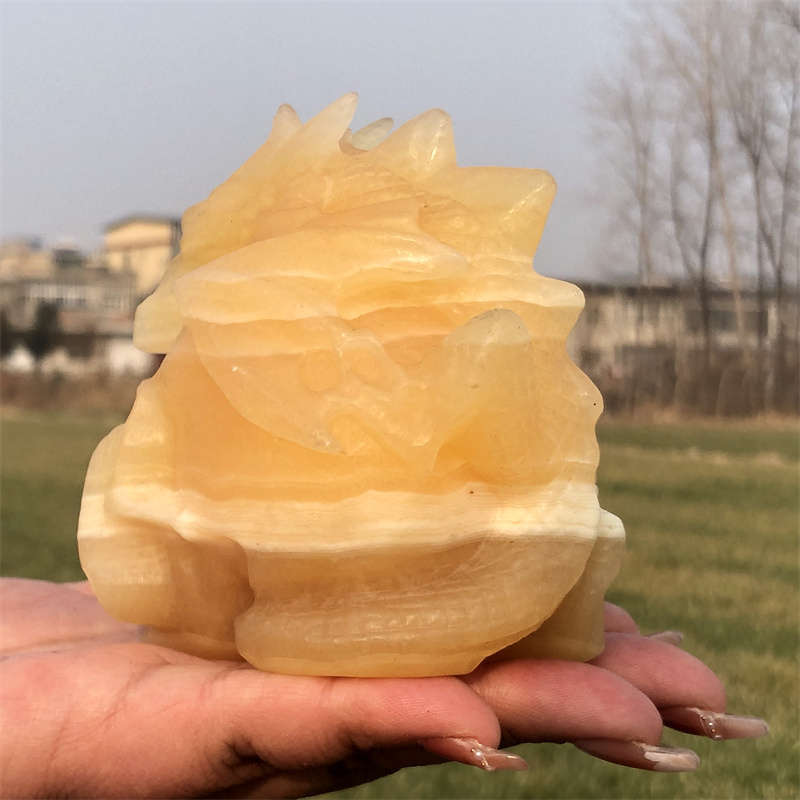 600g Natural carved geodes stone dragon Skull Reiki crystal skull decor crystal