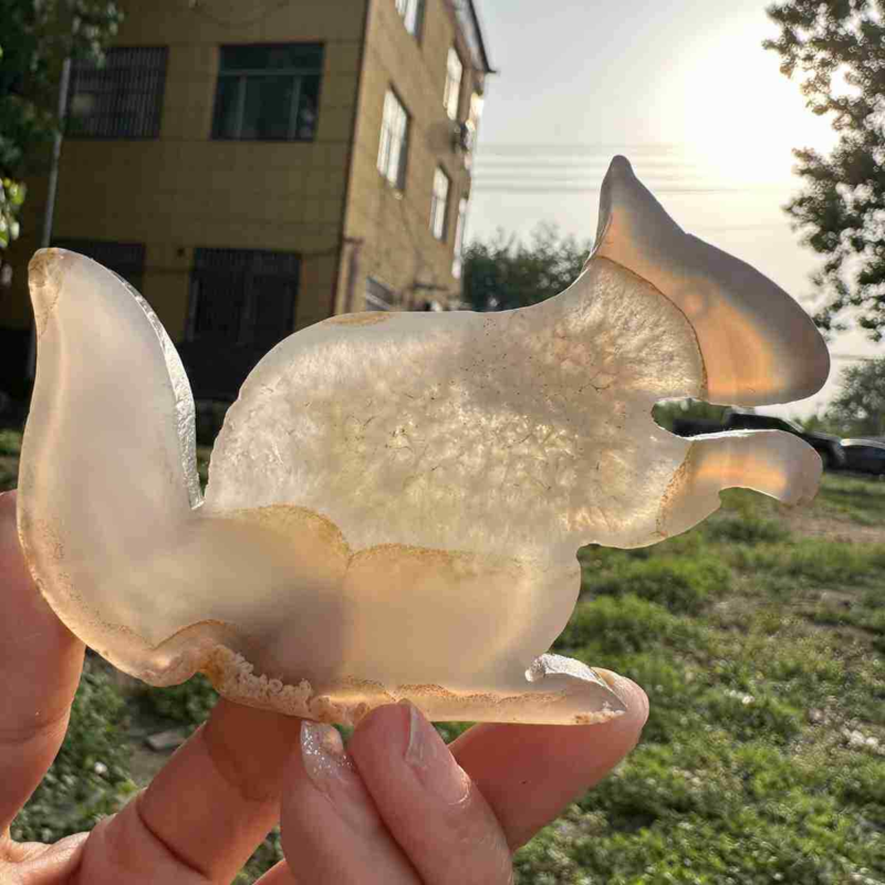 110g natural agate hand carved squirrel skull quartz crystal cluster reiki