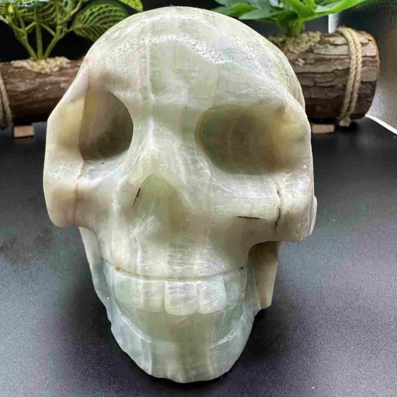 1545g natural Caribbean calcite hand carved skull quartz crystal healing decor