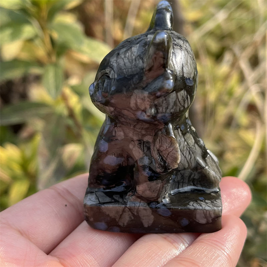 1pc Natural amphibole toothless dragon carved Quartz Crystal skull Reiki healing