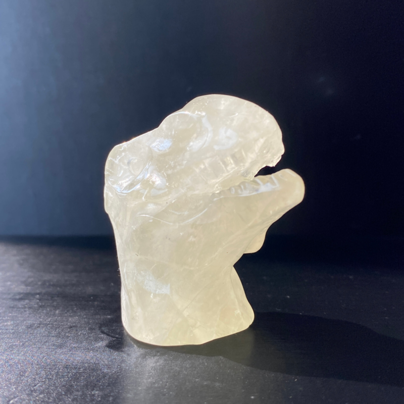 102Gram Natural Citrine Quartz Hand Carved Crystal Dinosaur Skull Healing