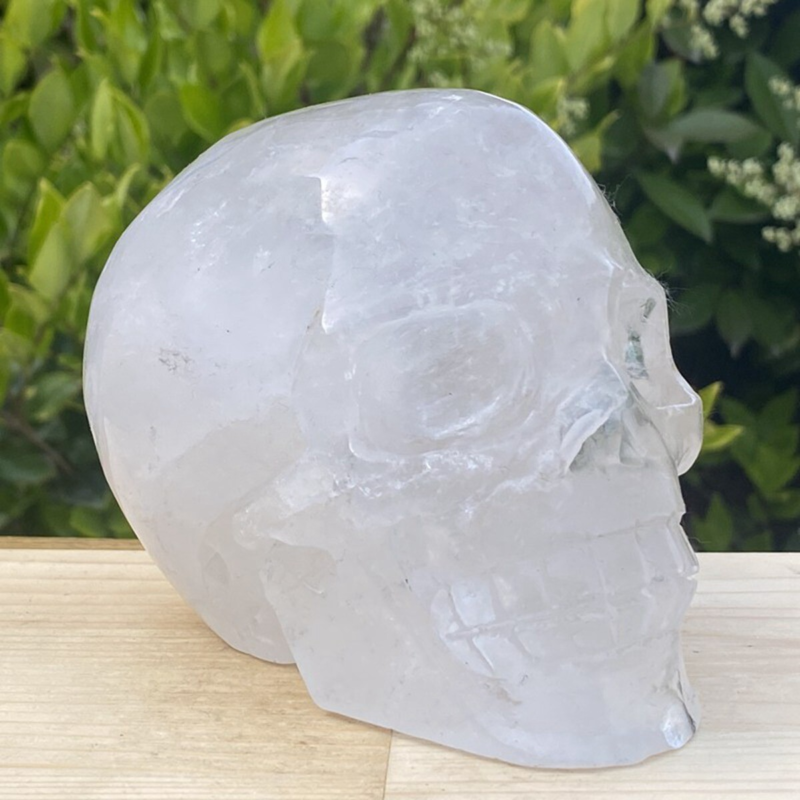 1440g Natural Beantiful Fluorite Quartz Skull Hand Carved Crystal Healing Skull