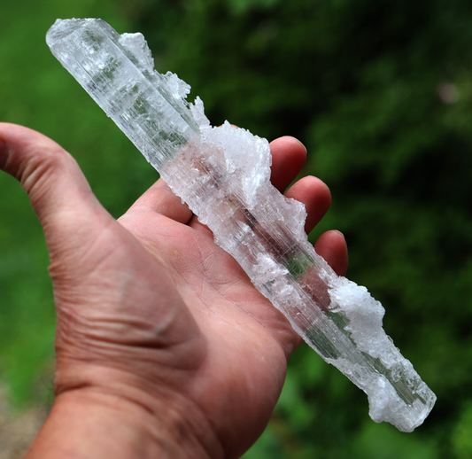 Doubly terminated Gypsum var. Selenite. 24 cm. Lily Mine, Pisco Prov., Ica, Peru