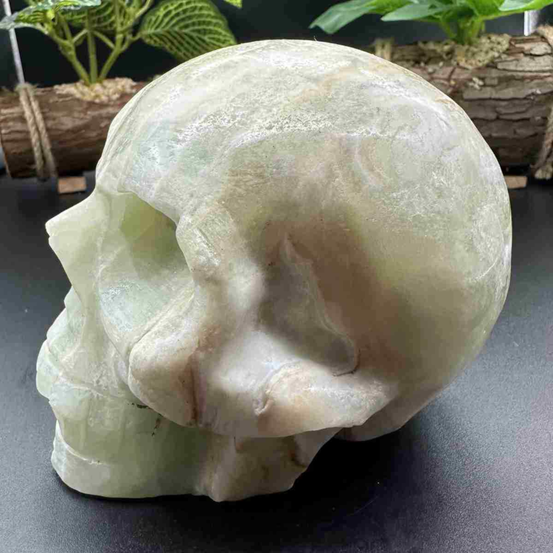 1545g natural Caribbean calcite hand carved skull quartz crystal healing decor
