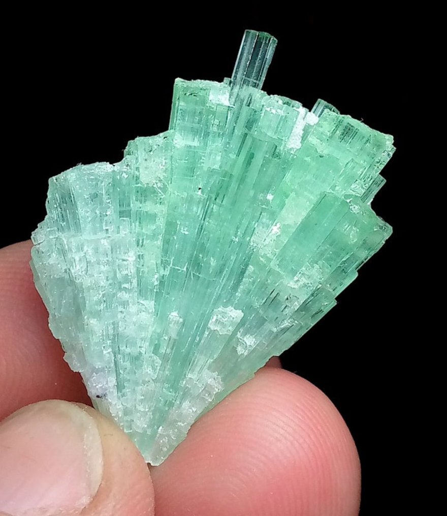 Tourmaline Specimen - Height: 25 mm - Width: 11 mm- 7 g - (1)