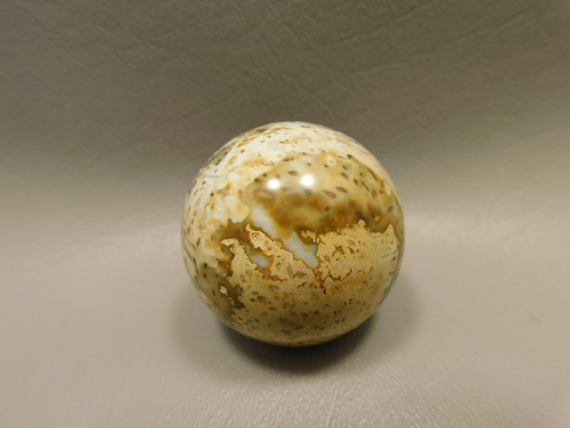 Petrified Palm Wood Sphere 1.6 inch or 40 mm Stone Indonesia #O15
