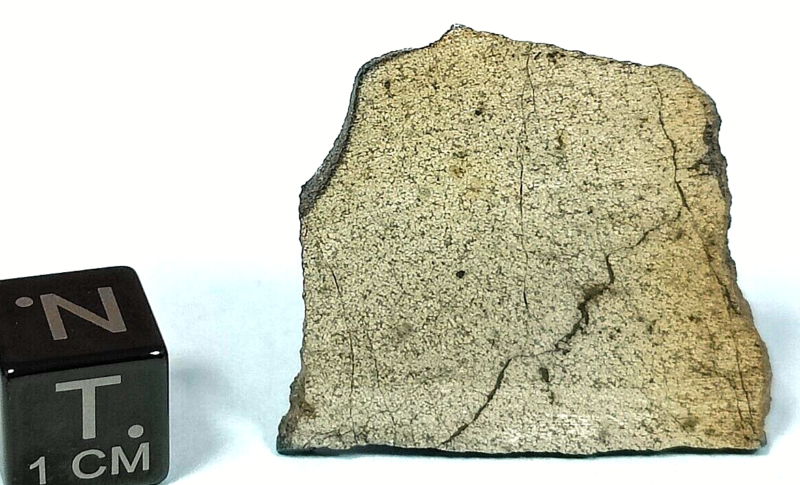 2.78 GR. SLICE NWA 13446 ACHONDRITE METEORITE, PARTIAL CRUST, OLIVINE RICH