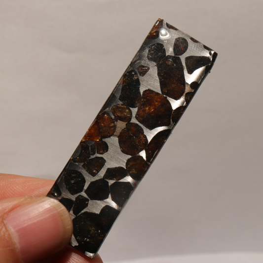 7g Rare slices of Kenyan Pallasite olive meteorite  A59