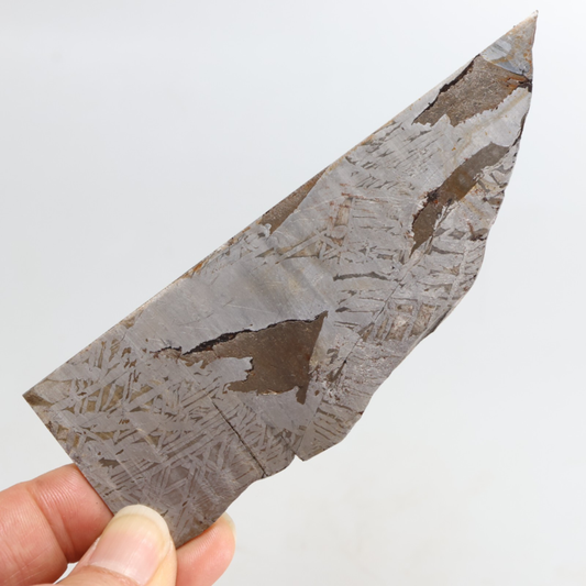 51g Slice meteorite,  Iron Meteorite part slice,Meteor wish,Collection F285