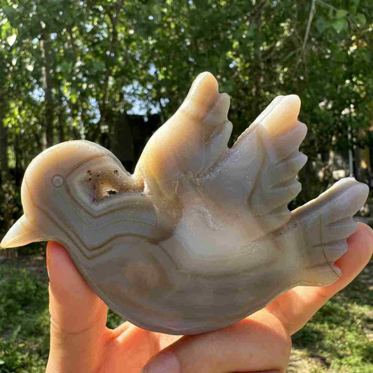 145g natural agate hand carved bird skull quartz crystal cluster reiki