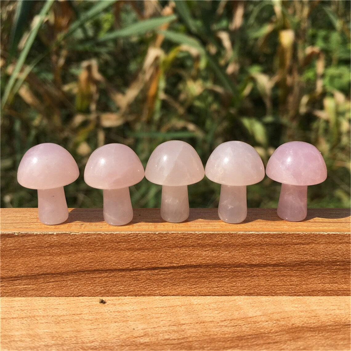 2pcs Natural Rose Quartz Mushroom Carved Quartz Crystal