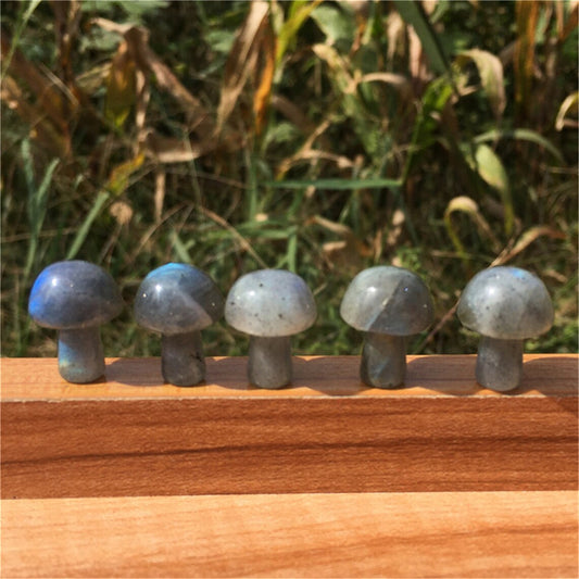2pcs Natural Labradorite Mushroom Carved Quartz Crystal