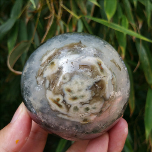Bola de cristal tallada de Ocean Jasper #702626 