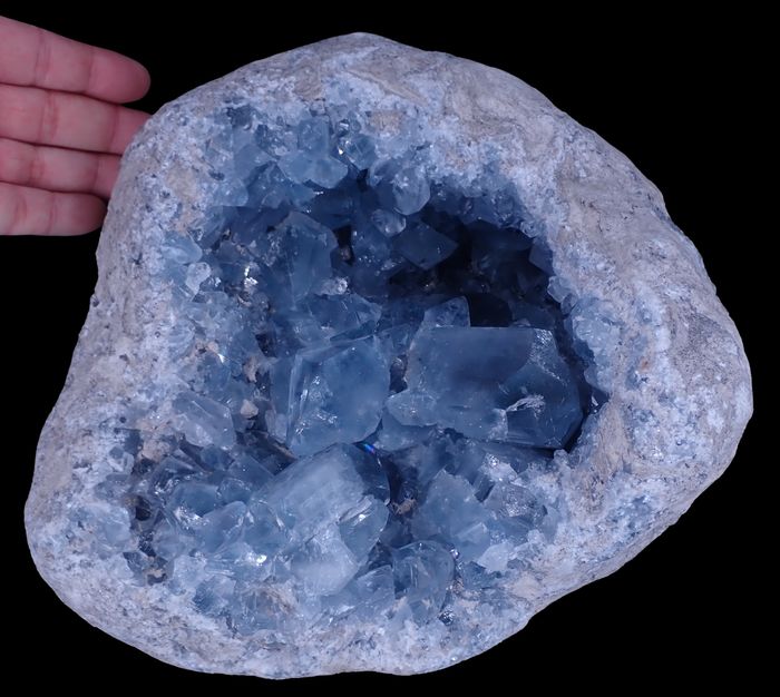 Large Natural A +++ Celestite Geode