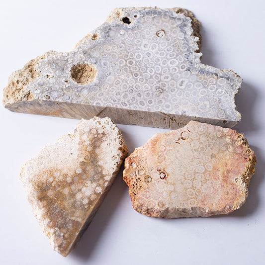 Wholesale Natural Rough Coral Jade Crystal Quartz Chrysanthemum Stone Slice for Healing