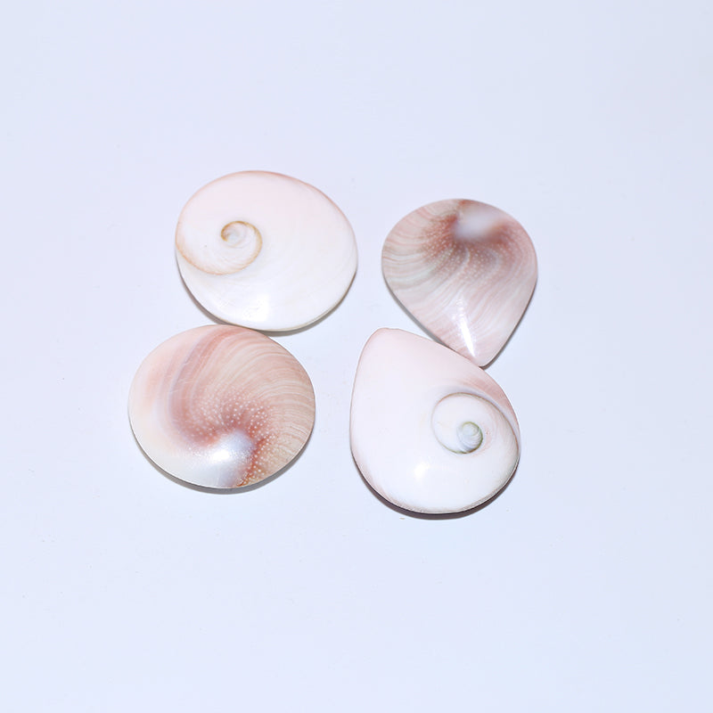 8pcs Solar shell pendant crystal round fossil