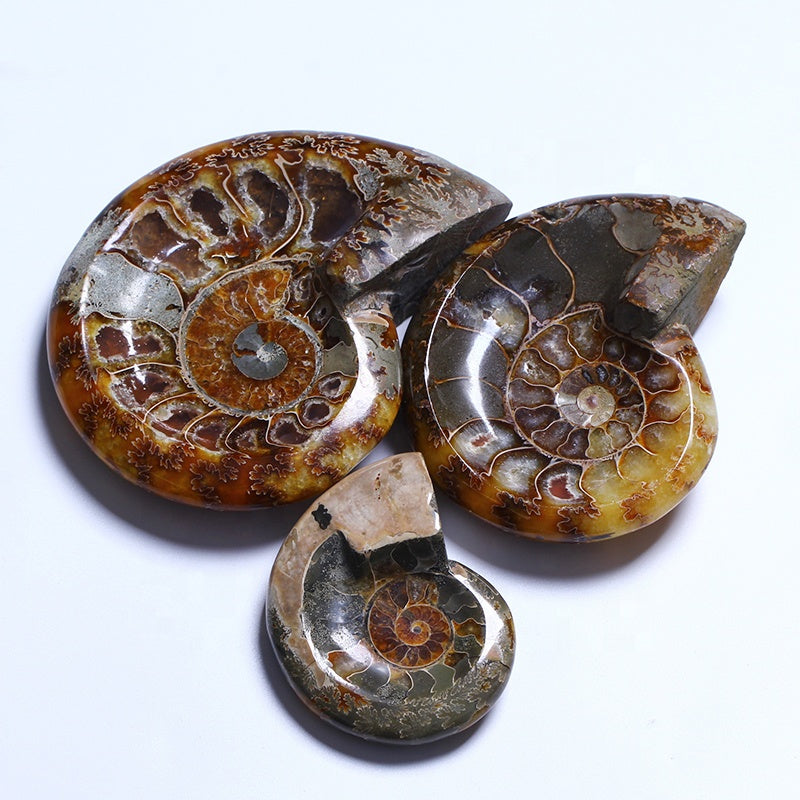 Natural High Quality Hand Carved Polished Snail Conch Cossil Bowl Crystal Quartz Ashtray For Decoration