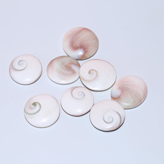 8pcs Solar shell pendant crystal round fossil