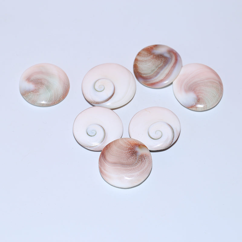 8pcs Solar shell pendant crystal round fossil