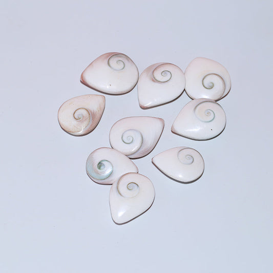 9pcs Housing fossil droplet fossil sun shellfish
