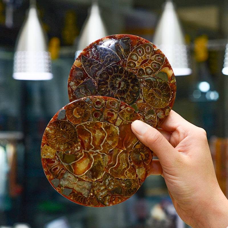 Natural fossil spiral chrysanthemum spiral disc gift