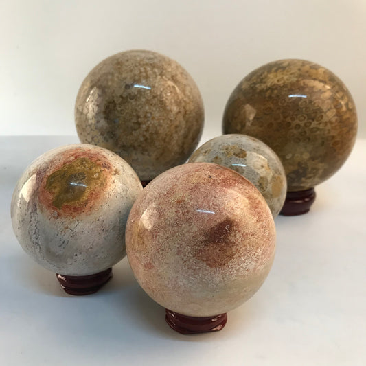 wholesale Natural Crystal Stone Sphere Polished Coral Jade Crystal Balls for decoration