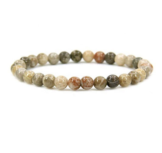 Wholesale Natural Coral Fossilstone Handmade Gem Semi-Precious Gemstone 6mm Round Beads Stretch Bracelet 7" Unisex
